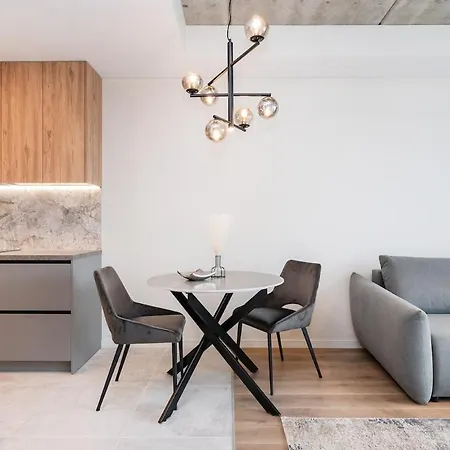 Apartman Luxury Near Downtown Vilnius