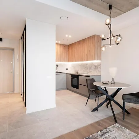 Luxury Near Downtown * ヴィリニュス